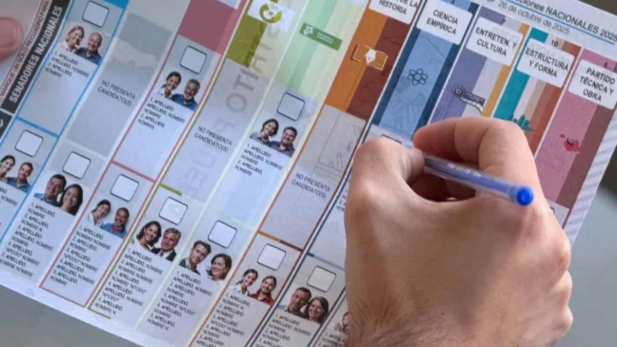 Cómo votar con la Boleta Única de Papel: 12 claves para las elecciones del 26 de octubre