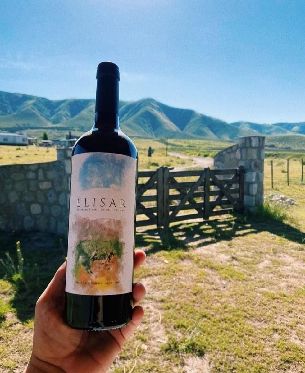 Sin viñedos ni bodega: la historia de los tucumanos que se animaron a cumplir el sueño de tener su propio vino
