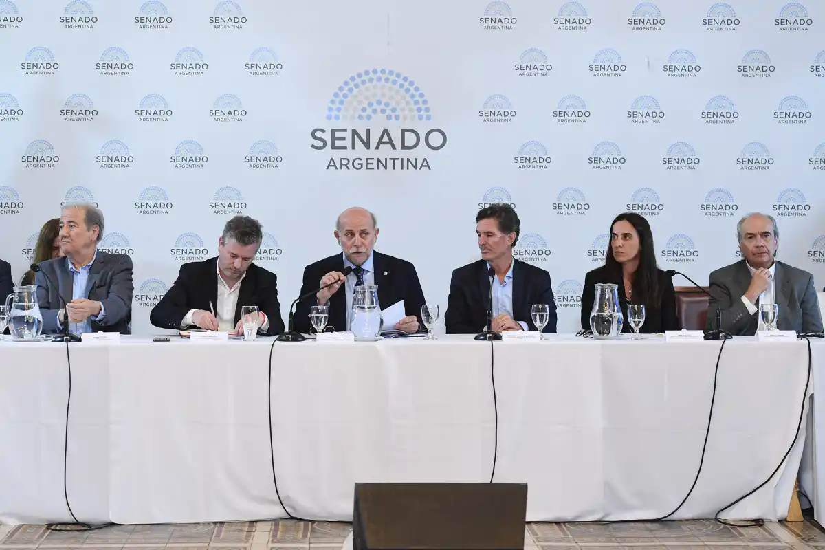 Exposición de referentes de las cámaras privadas. PRENSA SENADO