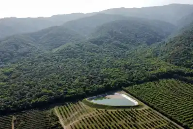 Robo de agua: agravan la acusación contra el citricultor