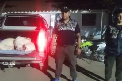 Decomisan 200 kilos de carne porcina que eran trasladados sin cadena de frío en Tucumán