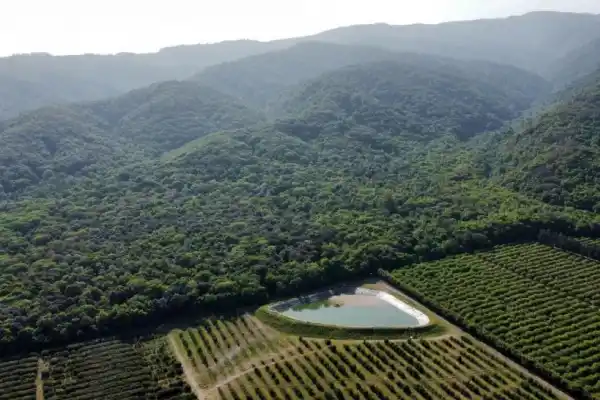 Robo de agua: agravan la acusación contra el citricultor