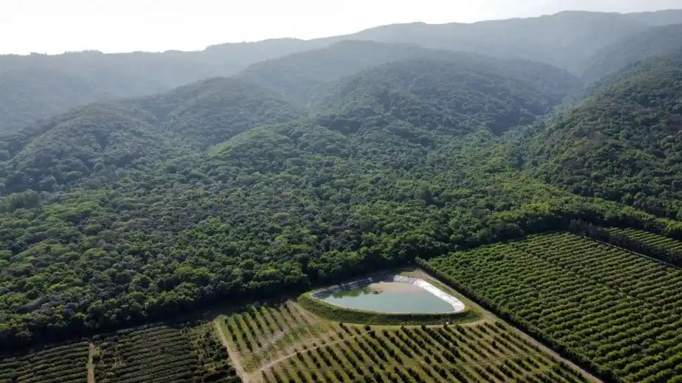 ‘¿LA PRUEBA DEL DELITO? La laguna que habría hecho construir el citricultor para acumular agua que podría haber destinado al riego de sus campos.