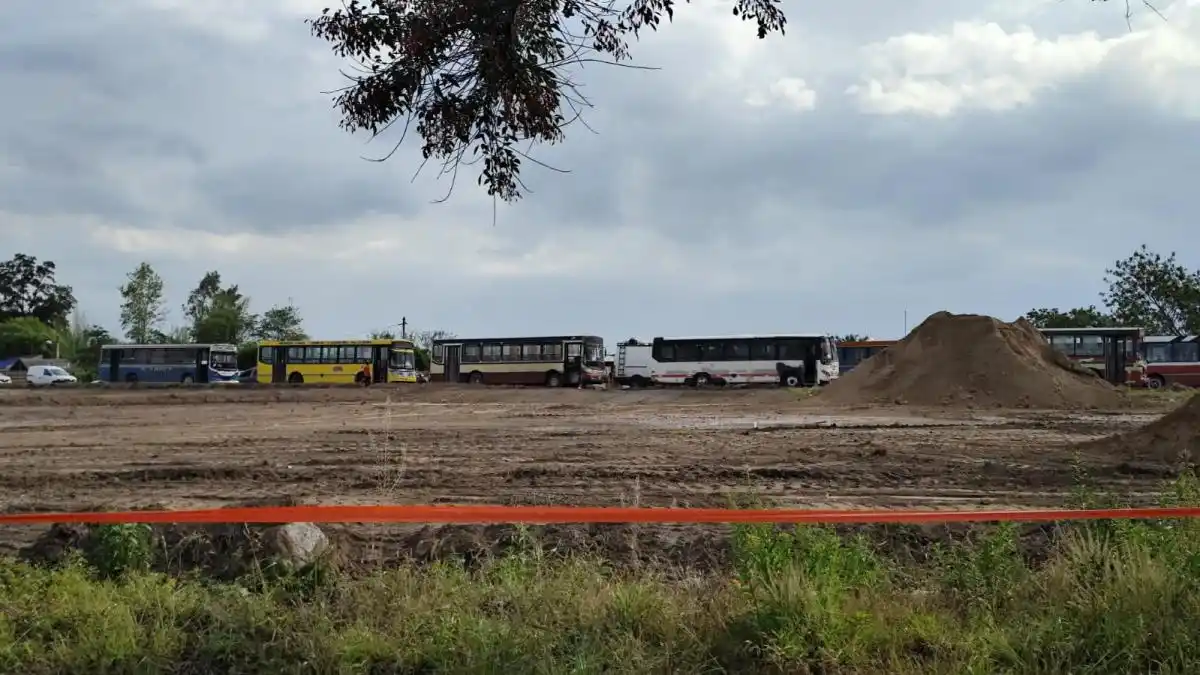 Movilización masiva