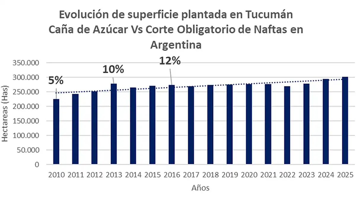 Tucumán aporta el 60% del bioetanol producido en la Argentina a partir de la caña de azúcar