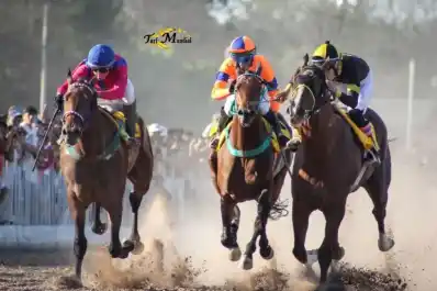 Mock Joy va por la revancha en el clásico Polla de Potrillos