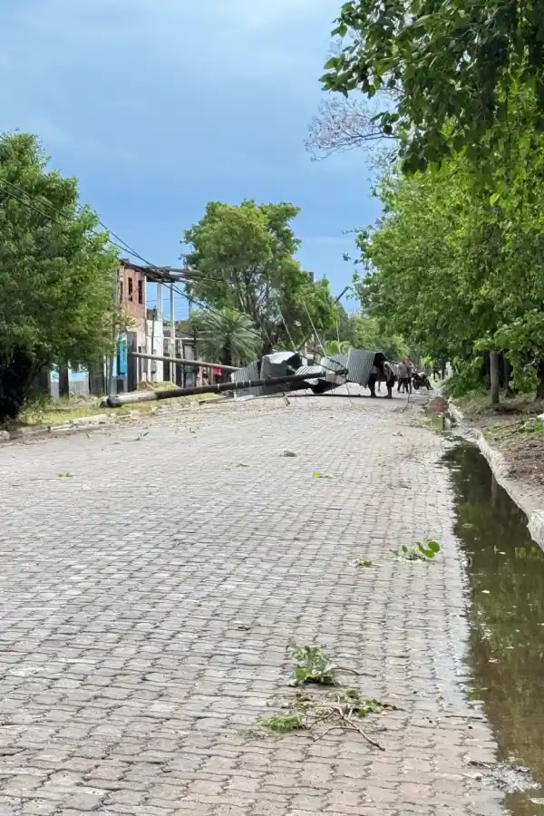 DESTROZOS. El temporal causó caídas de postes y un corte de luz.
