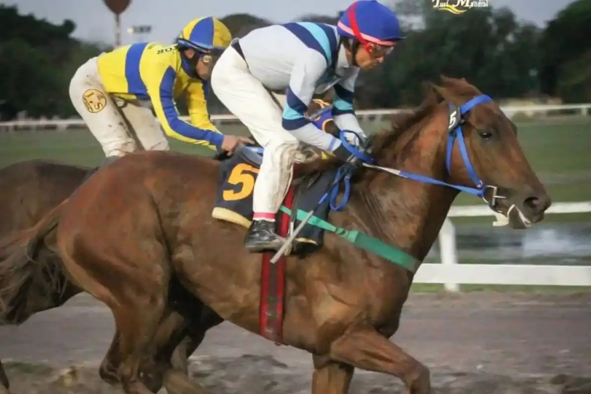 SE VINO DE UN VIAJE. Sensacional Prize, con el jockey Héctor “Pulga” Suárez, contuvo en el final la atropellada del santiagueño Católico para ganar la “Polla”.