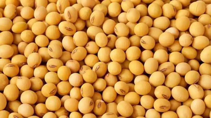 Soja: el 95% de la región núcleo muestra muy buenas reservas hídricas