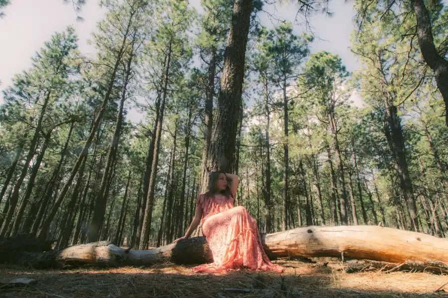 Cecilia González Mestre: la diseñadora que florece desde Tucumán hacia el mundo