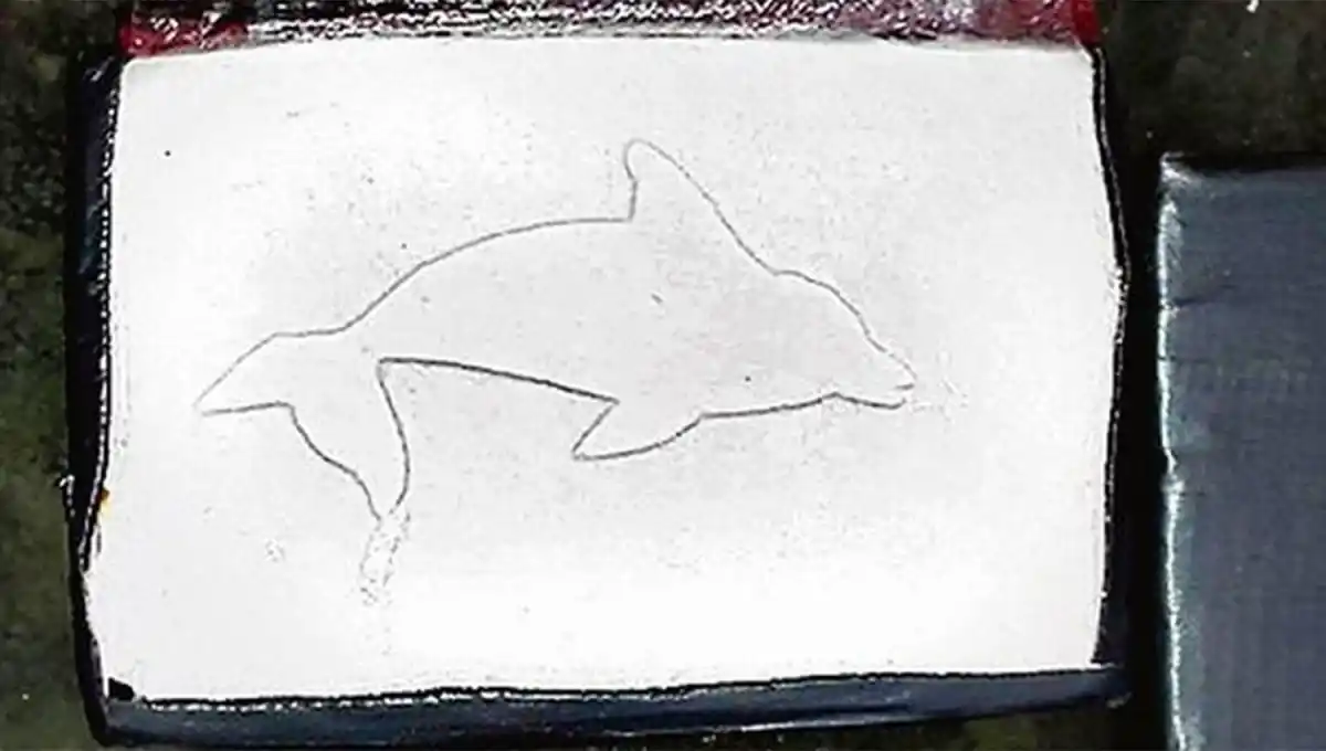 ¿CLAN CASTEDO? La cocaína con estampas de delfín se atribuyen a una familia que opera en la frontera con Bolivia. 