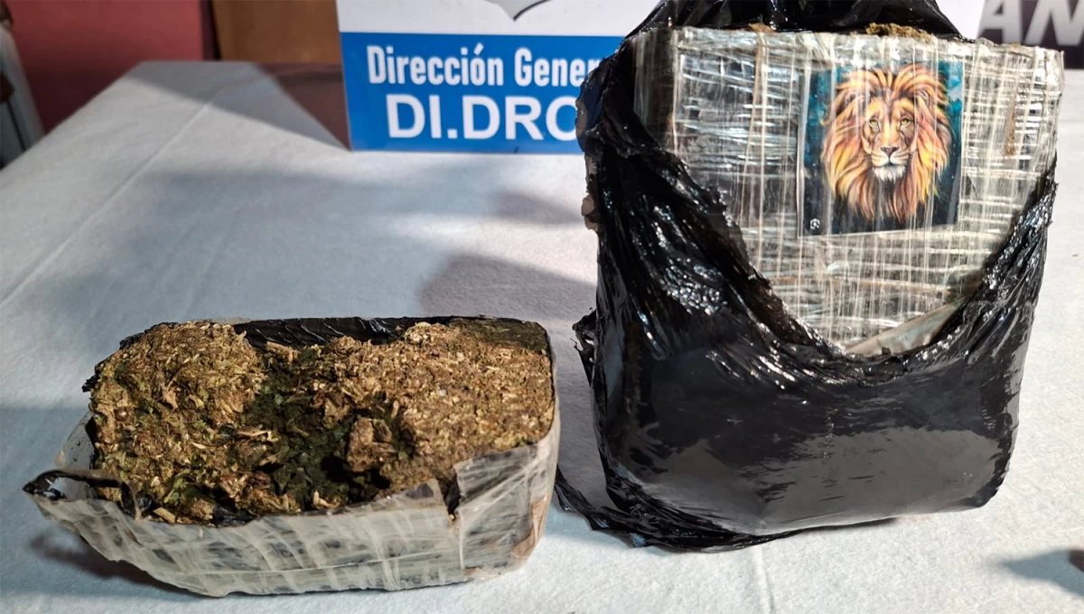 MARCAS. Son cada vez más los cargamentos decomisados que llevan estampadas imágenes que servirían para señalar el origen de la mercancía.