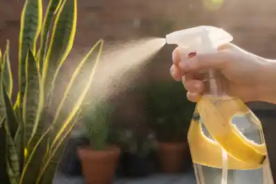 Cómo hacer un limpiador para todas las superficies con vinagre y maicena