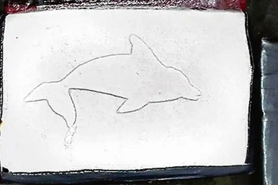 ¿CLAN CASTEDO? La cocaína con estampas de delfín se atribuyen a una familia que opera en la frontera con Bolivia. 