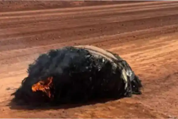 Un enorme objeto habría caído del cielo: encontraron una pieza carbonizada en un camino remoto