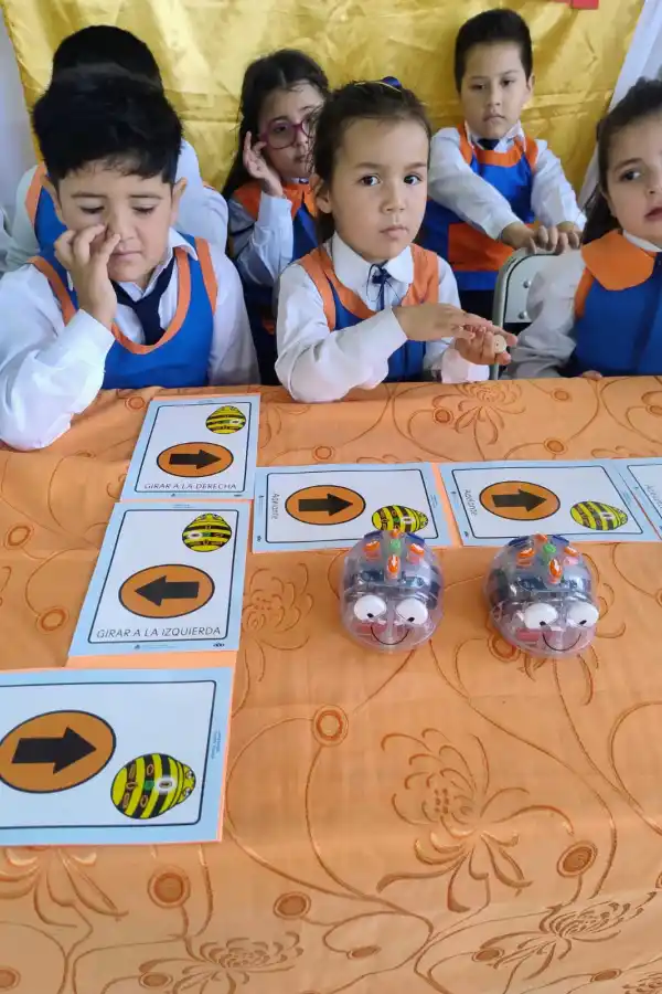 Creatividad y tecnología: estudiantes tucumanos dieron vida a robots de cartón y material reciclado