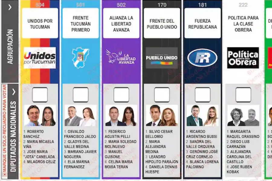 “Y vos, ¿a quién vas a votar?”: el doble voto vergüenza de Tucumán