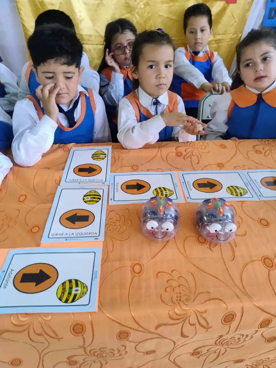 Creatividad y tecnología: estudiantes tucumanos dieron vida a robots de cartón y material reciclado