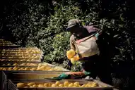 Conocé la oferta electoral: qué plantean los frentes y partidos tucumanos sobre empleo