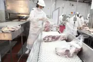 Carne vacuna: cayó el volumen de exportación y se dispararon las importaciones en noviembre