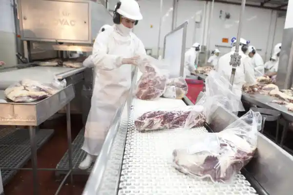 Carne vacuna: cayó el volumen de exportación y se dispararon las importaciones en noviembre