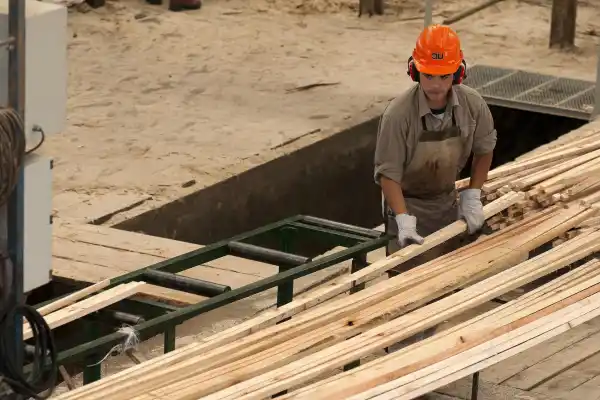 Industria de la madera: las exportaciones crecieron 34,5% en valor entre enero y agosto