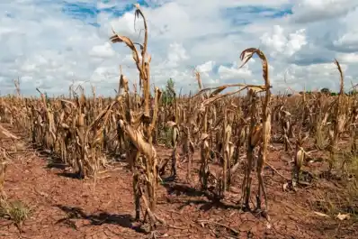 Buscan mejorar la muestra del factor climático en los datos agrícolas