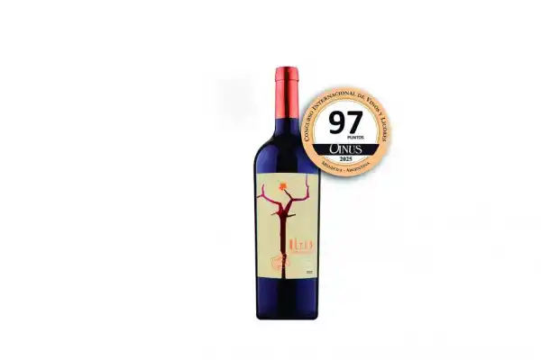 Dos vinos de Colalao del Valle se destacaron en Vinus 2025