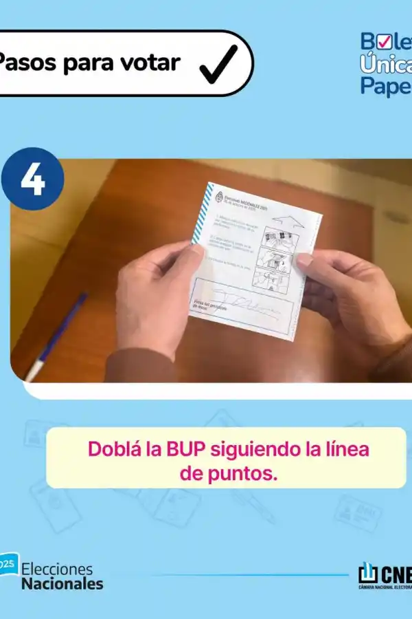 Elecciones 2025: qué está prohibido y cómo denunciar irregularidades