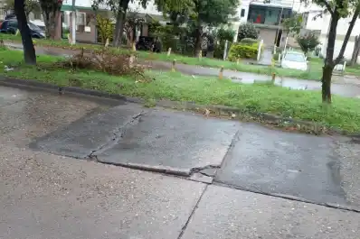 LA GACETA en WhatsApp: pavimento levantado y árbol que obstruye el alumbrado público