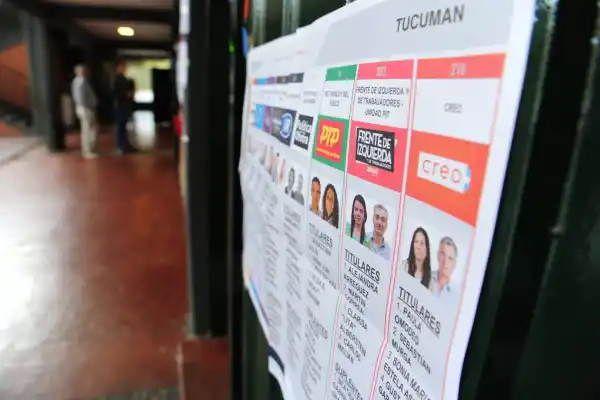 Dónde ver los resultados de las elecciones 2025: link oficial y cómo seguir el recuento en vivo