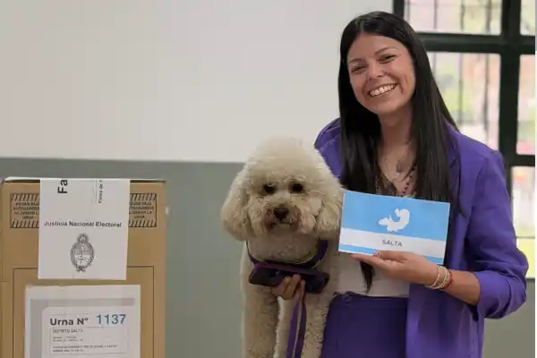 Salta: La Libertad Avanza venció al saencismo y dejó fuera del Congreso a Juan Manuel Urtubey