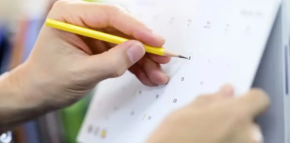 Noviembre a pleno: llega el último fin de semana XL del año y luego dos feriados inamovibles - Image 2