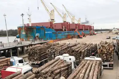 Se incrementó la exportación de los productos maderables