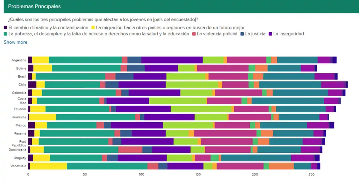 GRÁFICOS. Estos son los principales problemas para los jóvenes. / JUVENTUDES: UNA ASIGNATURA PENDIENTE