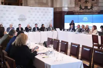 La industria azucarera advierte riesgos ante la desregulación que impulsa el gobierno de Milei