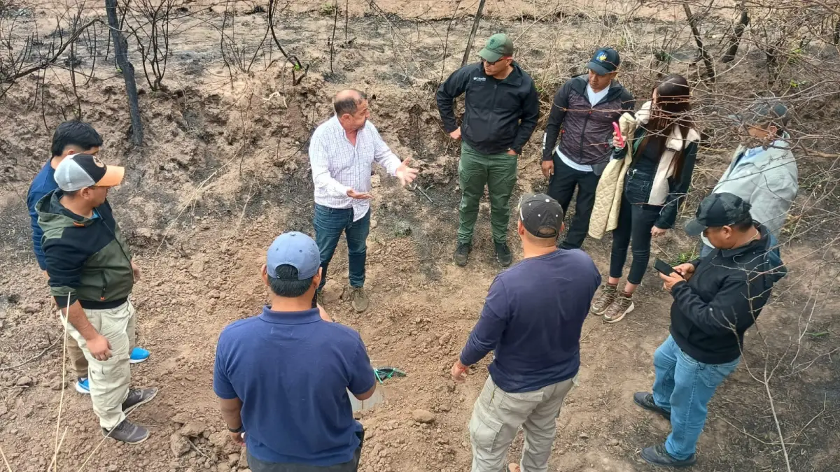 Detuvieron a los pilotos de la avioneta narco que cayó en Salta e investigan vínculos con carteles internacionales