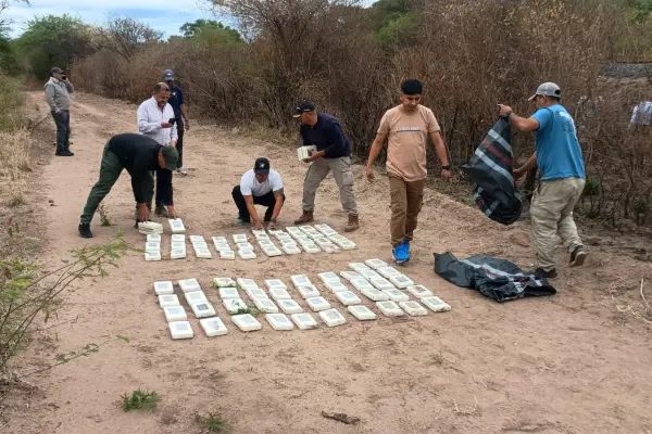 Detuvieron a los pilotos de la avioneta narco que cayó en Salta e investigan vínculos con