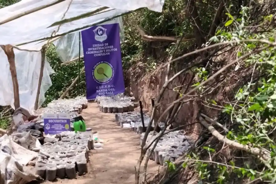 Por corrupción, los controles de Gendarmería generan dudas en el NOA