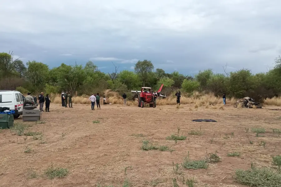 Detuvieron a los pilotos de la avioneta narco que cayó en Salta e investigan vínculos con carteles internacionales