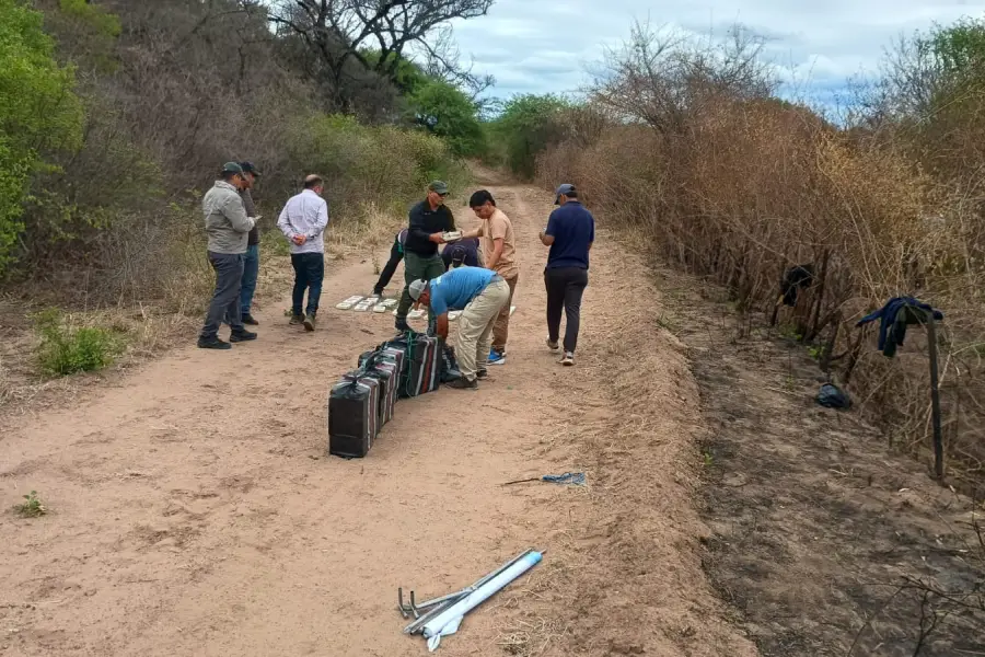 Detuvieron a los pilotos de la avioneta narco que cayó en Salta e investigan vínculos con carteles internacionales