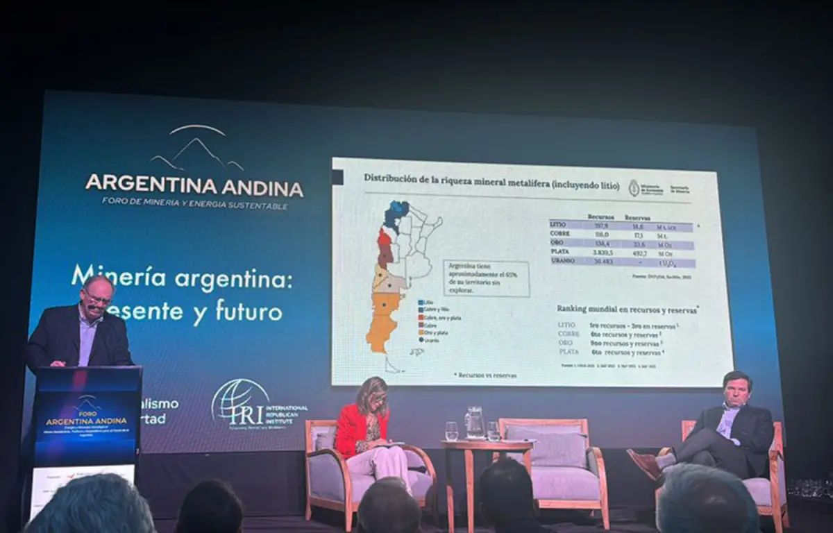 ARGENTINA ANDINA. Luis Enrique Lucero, secretario de Minería de la Nación expone en el panel Final del foro, con la presencia de José Ignacio García Hamilton (h), secretario Legal y Técnico del Ministerio de Economía de la Nación.