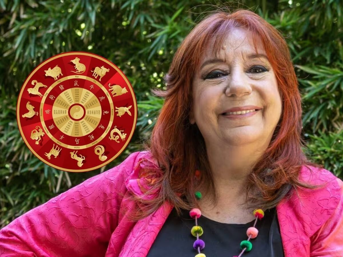 Horóscopo chino: los signos que recibirán una gran noticia económica en noviembre, según Ludovica Squirru
