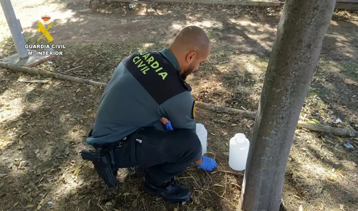 Investigado por haber provocado presuntamente la muerte de más de 100 gatos en Villaluenga de la Sagra
