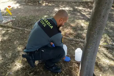 España: detienen a un hombre acusado de matar a más de 100 gatos