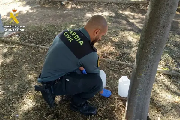 España: detienen a un hombre acusado de matar a más de 100 gatos