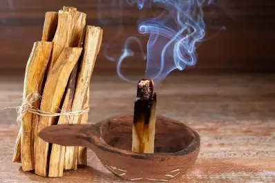 Beneficios espirituales del palo santo: cuándo y cómo encenderlo