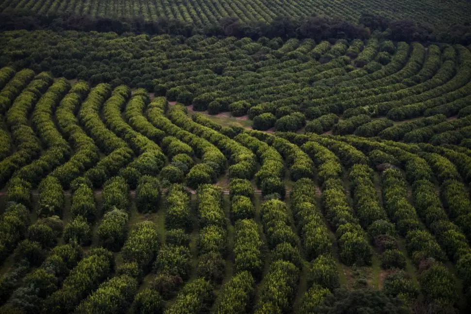 El agro regional se reúne en LA GACETA