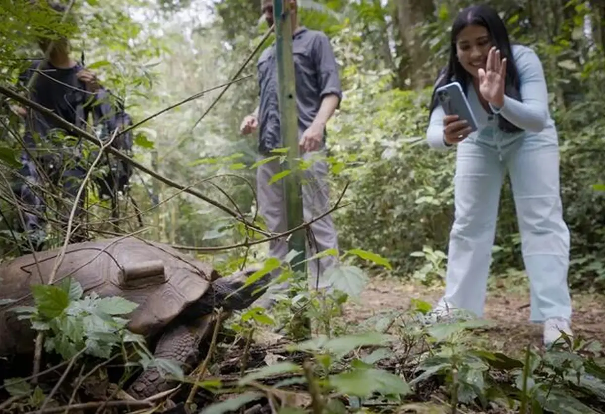 OPORTUNIDAD GLOBAL. La convocatoria “The Future of Learning” financia ideas educativas que unan conocimiento, acción y conciencia ambiental. / NATIONAL GEOGRAPHIC