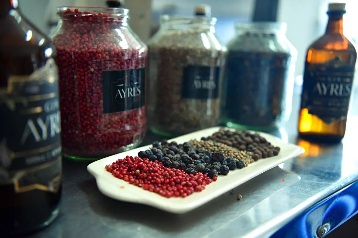 ESPECIAS. Las pimientas y el enebro son cuidadosamente seleccionados.